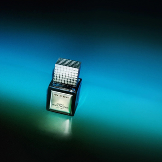 Sweat, Tears, Paradise