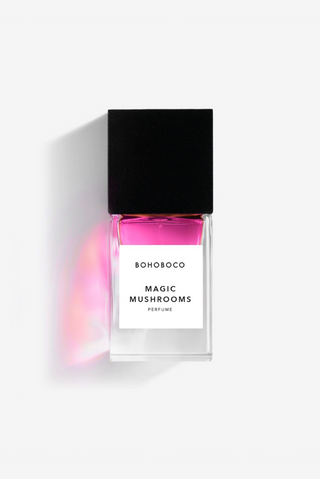 RegaloMAGIC • MUSHROOMS